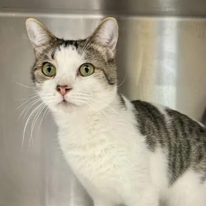 Green Lantern thumbnail 2