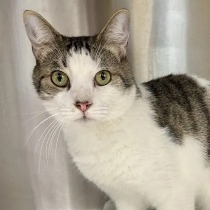 Green Lantern thumbnail 3