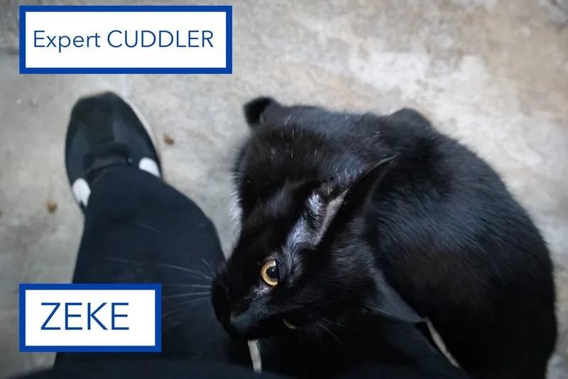 Zekec thumbnail 3