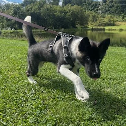 Luna