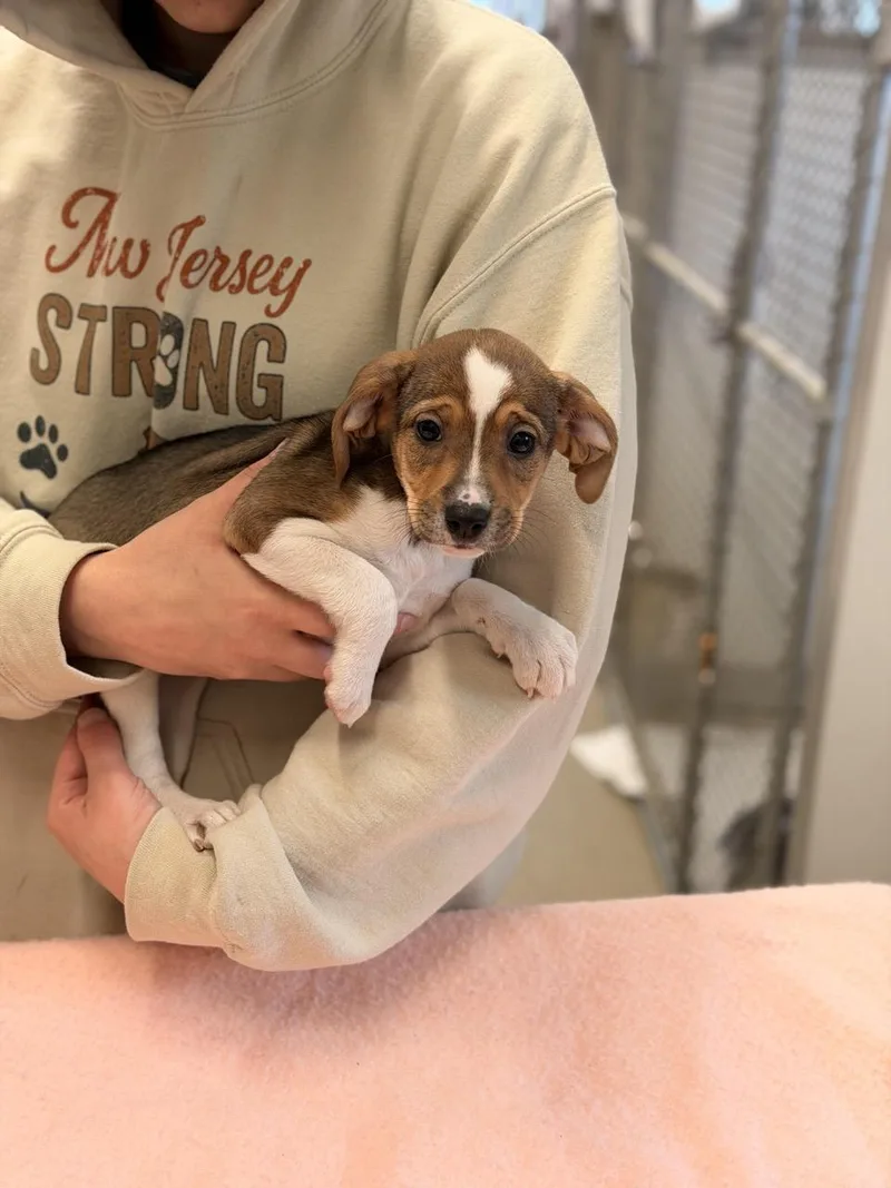 Mary Puppins thumbnail 4
