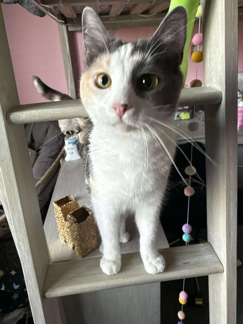 Mona Lisa thumbnail 3