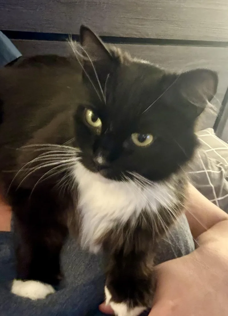 Lucy thumbnail 2