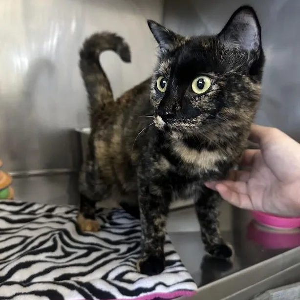 Sabrina thumbnail 2