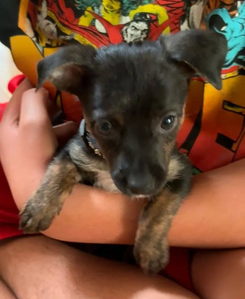 Esther