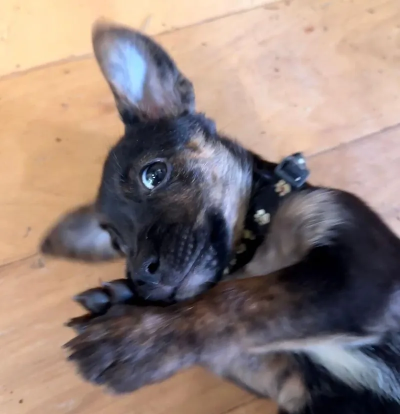 Esther thumbnail 2