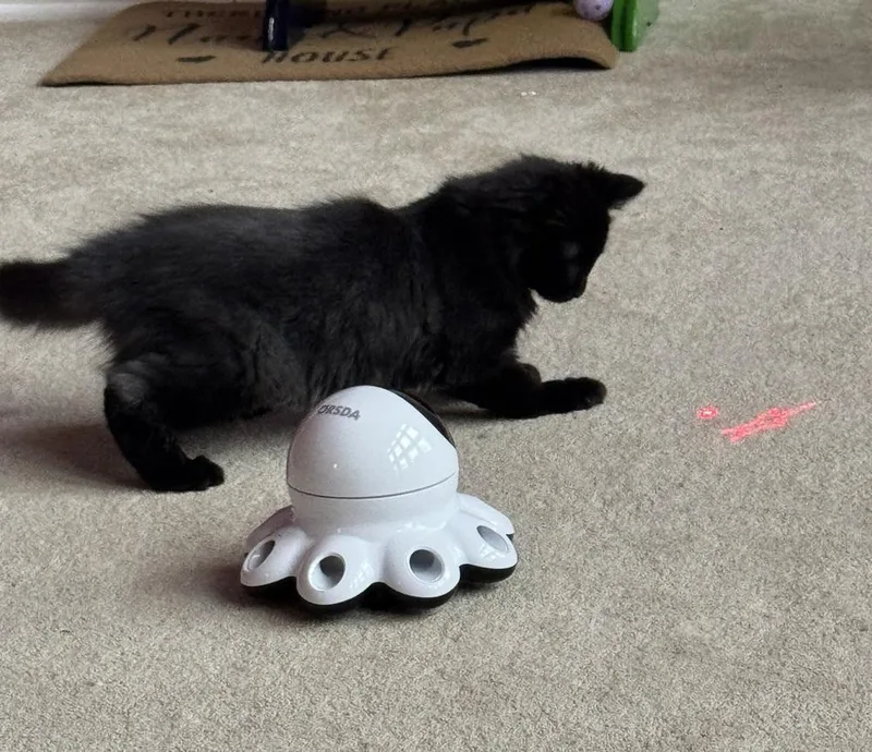 Handsome thumbnail 4