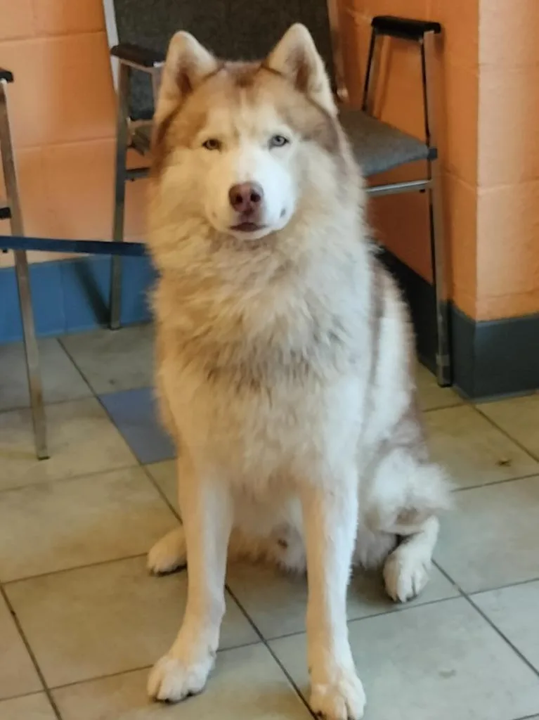 Hercules thumbnail 4