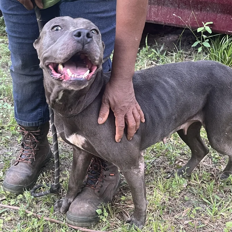 Princess >  Bleeding