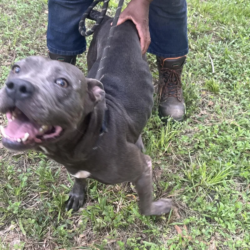 Princess >  Bleeding thumbnail 3