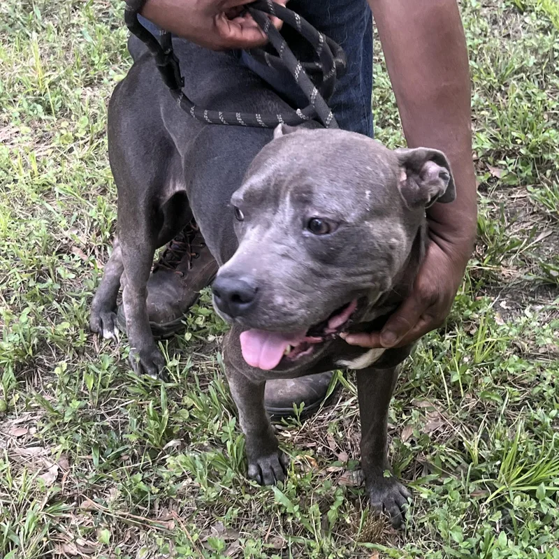 Princess >  Bleeding thumbnail 4