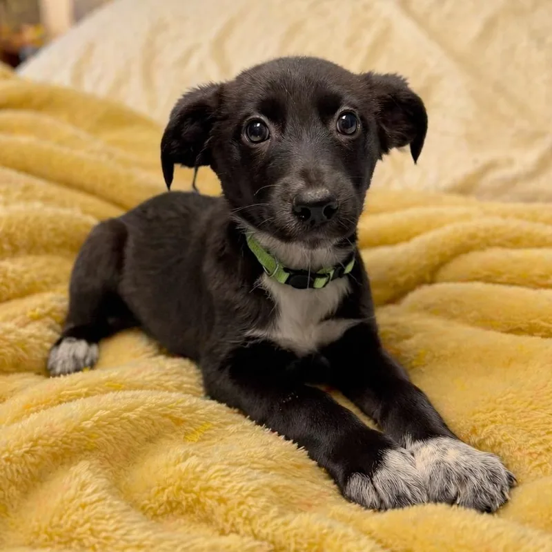 Brooke  Smart  thumbnail 2