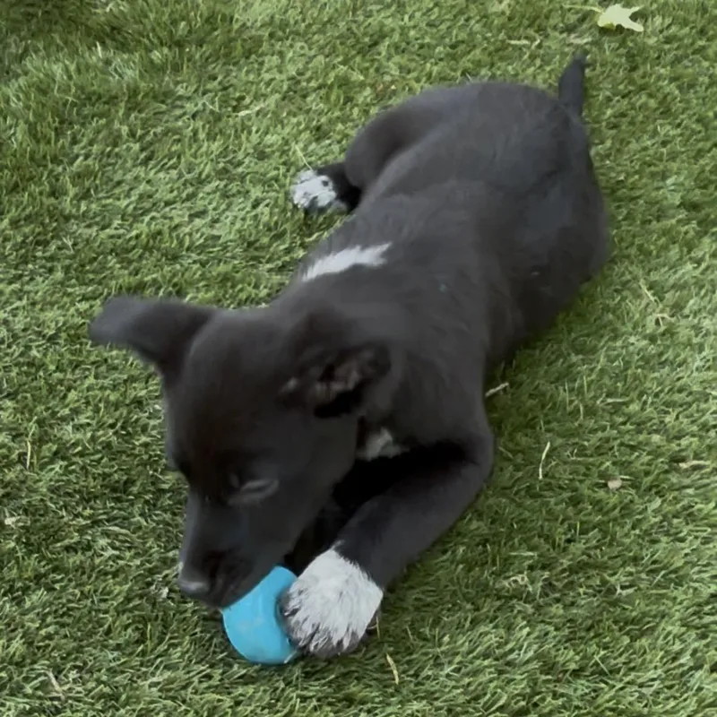 Brooke  Smart  thumbnail 4