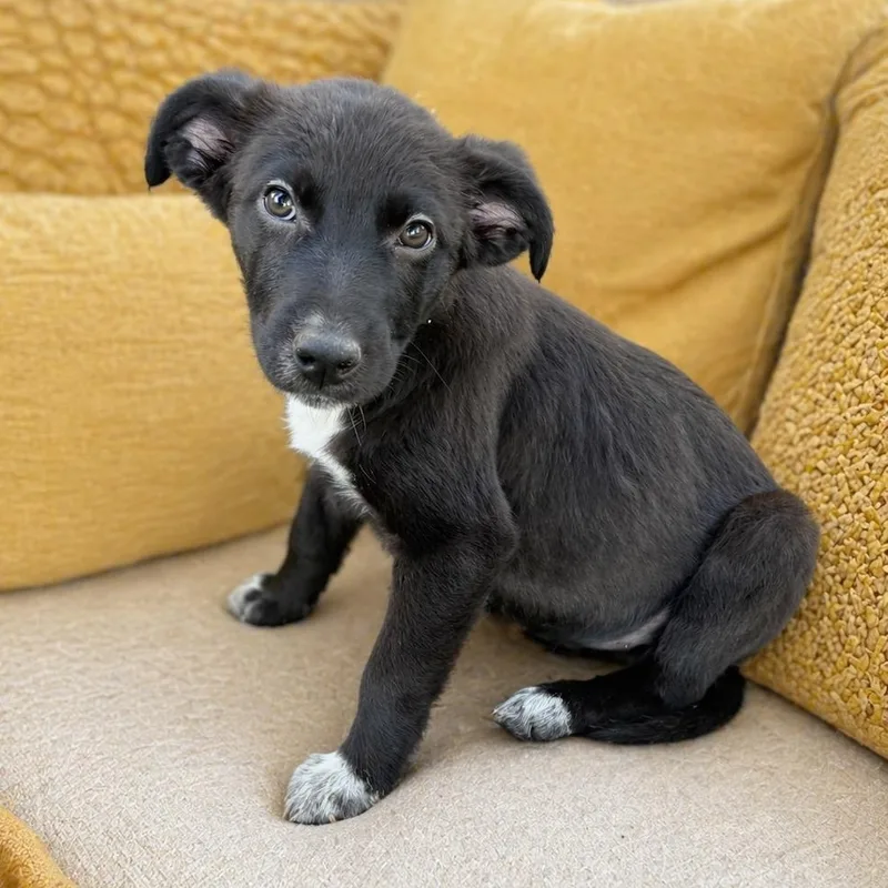 Brooke  Smart  thumbnail 5