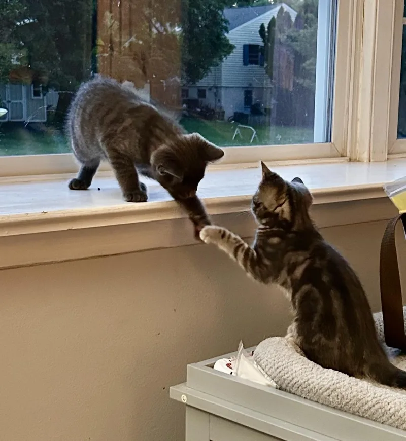 Tabitha & Honeybear thumbnail 2