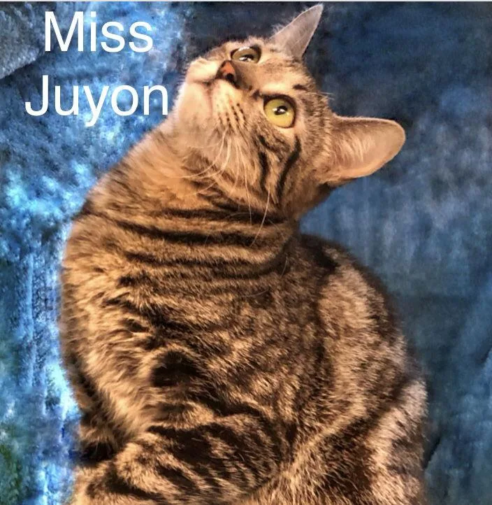 Miss Juyon At Martinez thumbnail 3