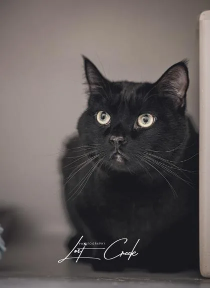 Salem