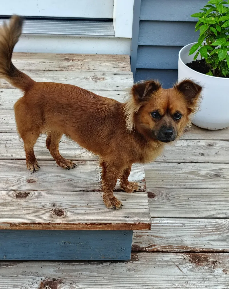 Charlie