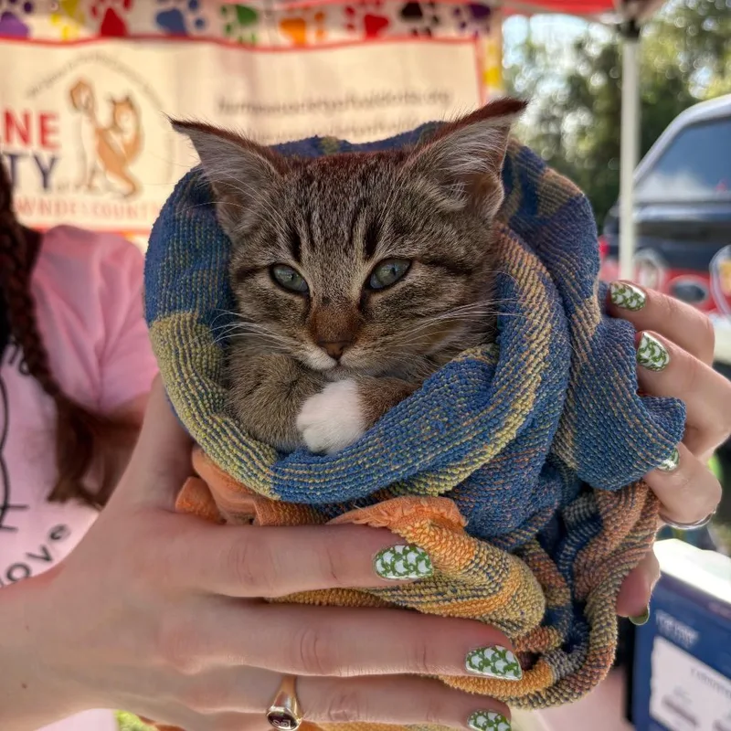 Sweetums Snugglepuff thumbnail 3