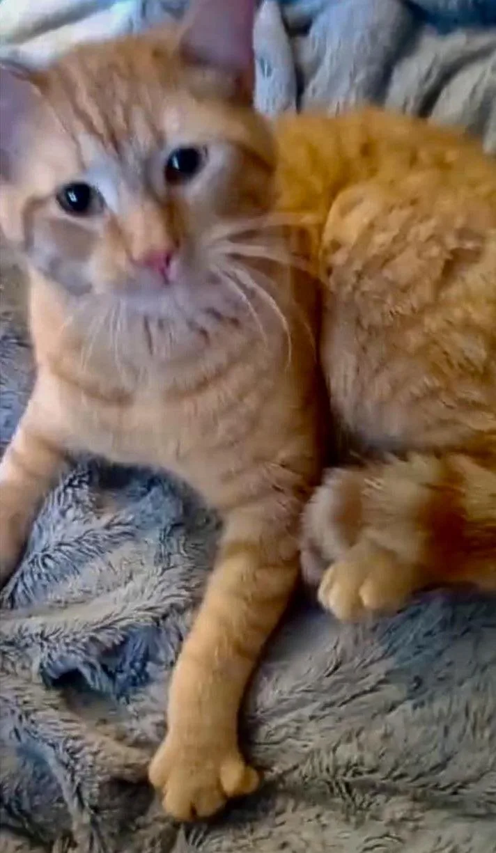 Hercules thumbnail 2