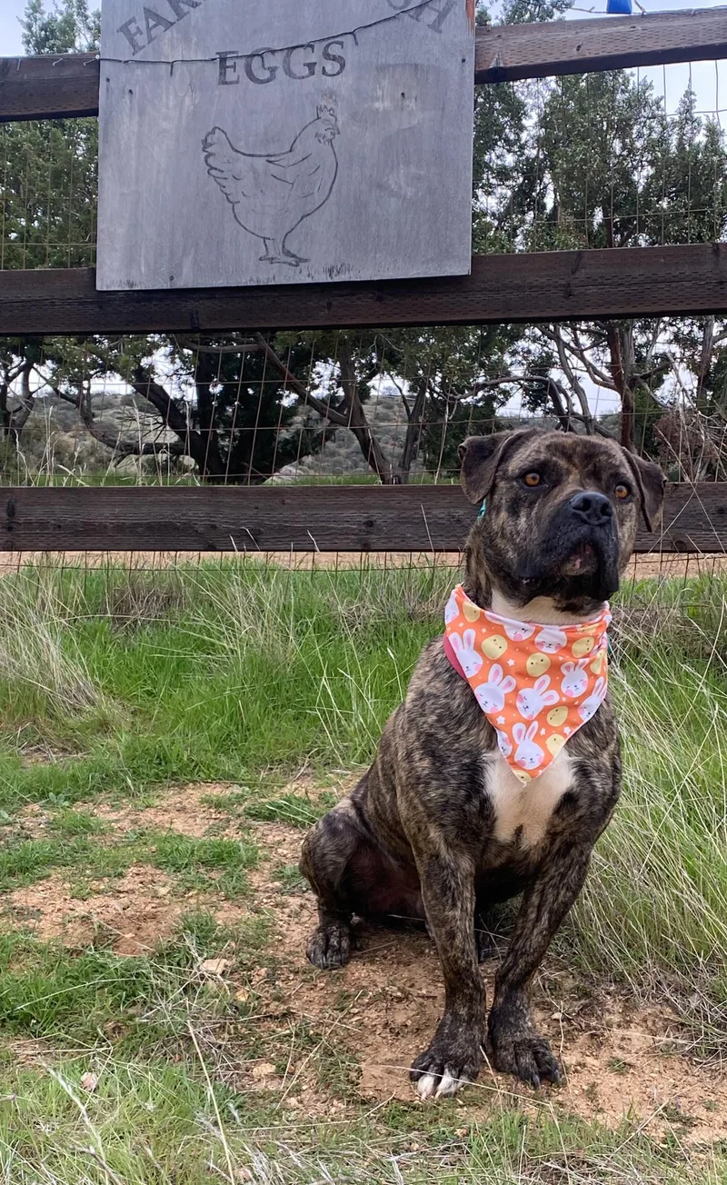 Alex  Petite  thumbnail 2