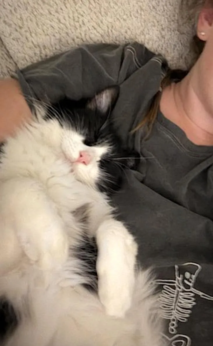 Sadie thumbnail 2