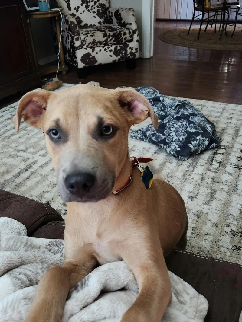 Donnelly thumbnail 2