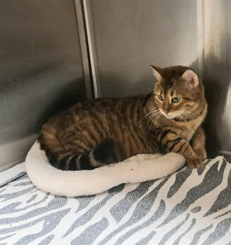 Mama And Squeek thumbnail 2