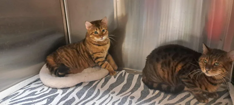 Mama And Squeek thumbnail 5