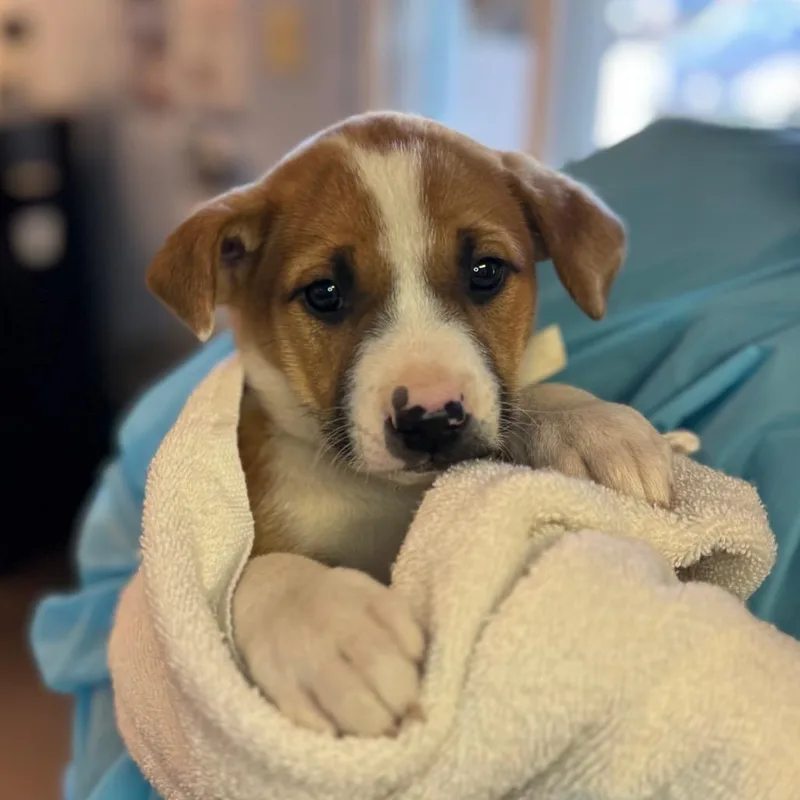 Yosemite thumbnail 2