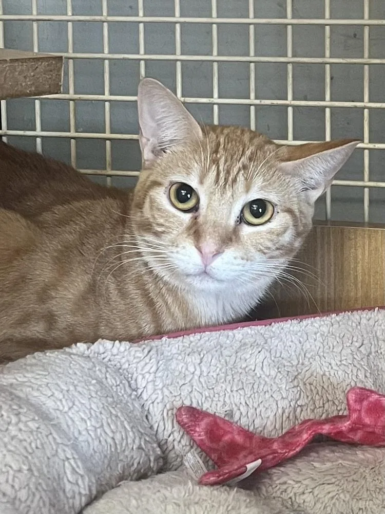 Kalamazoo  Ortiz thumbnail 2