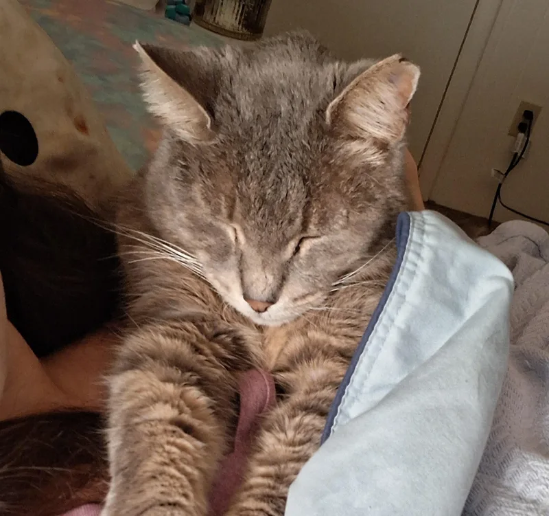 Ashes Courtesy Listing thumbnail 2