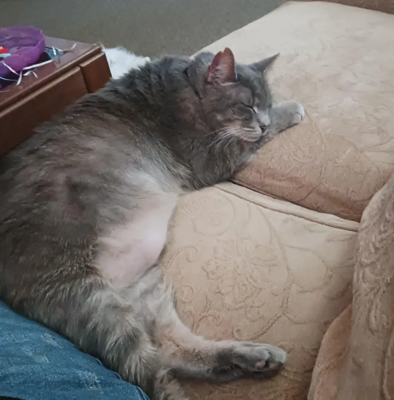 Ashes Courtesy Listing thumbnail 3