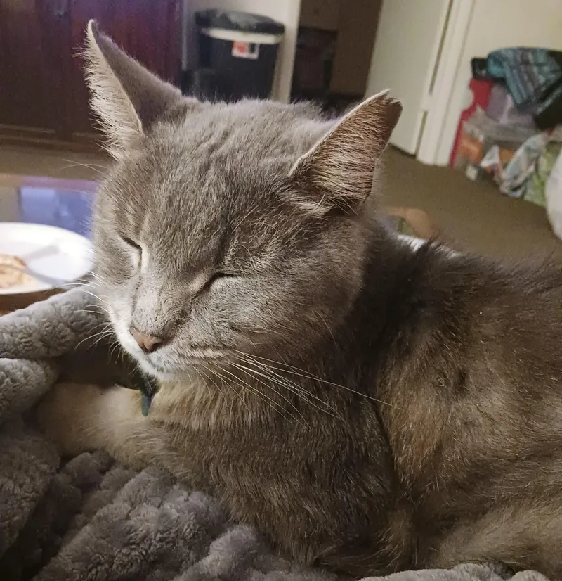 Ashes Courtesy Listing thumbnail 4