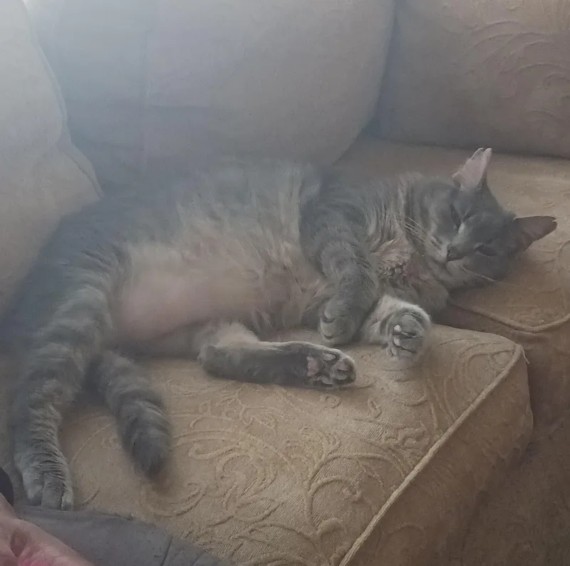 Ashes Courtesy Listing thumbnail 5