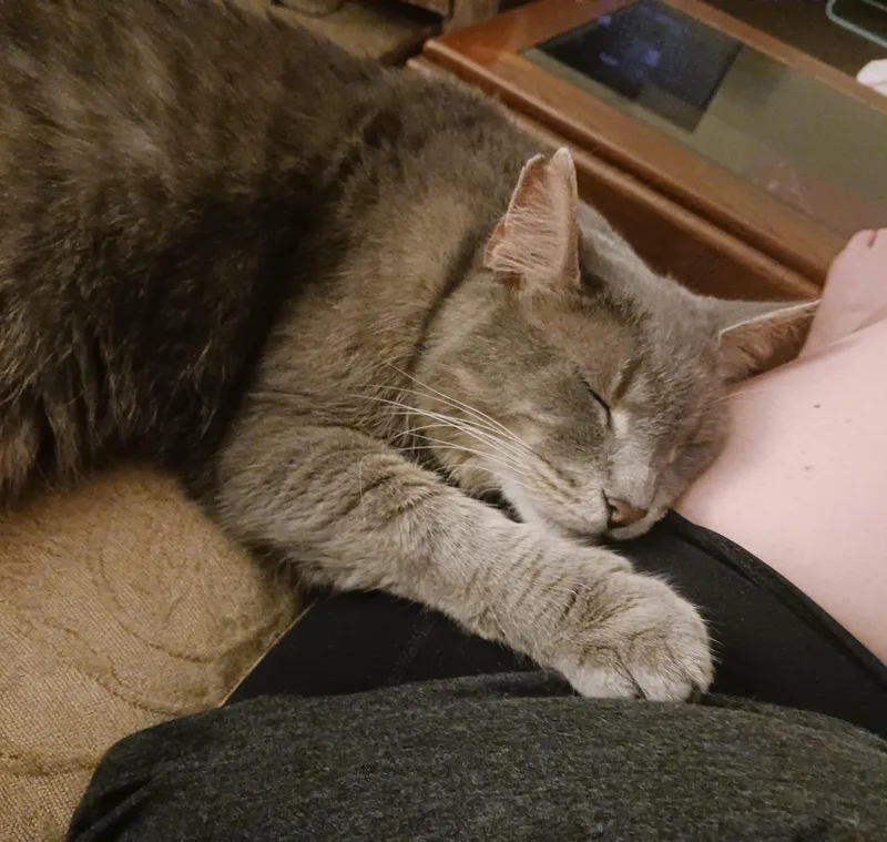 Ashes Courtesy Listing thumbnail 6