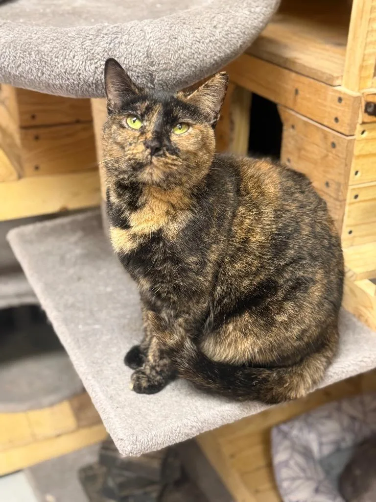 Katherine thumbnail 2