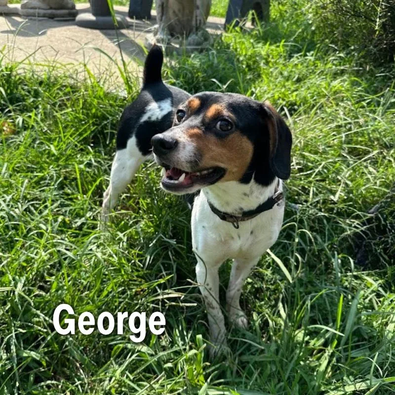 George