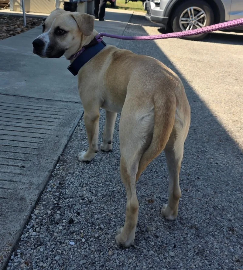 Freddy  Blue thumbnail 2