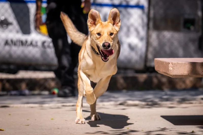 Stevie Nicks thumbnail 2