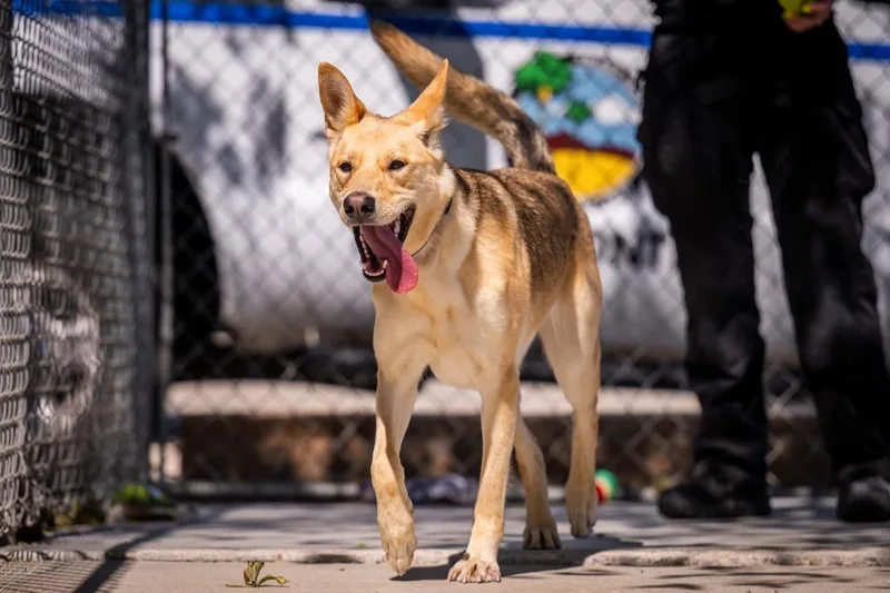 Stevie Nicks thumbnail 4