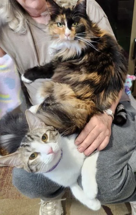 Mila & Marlow Bonded