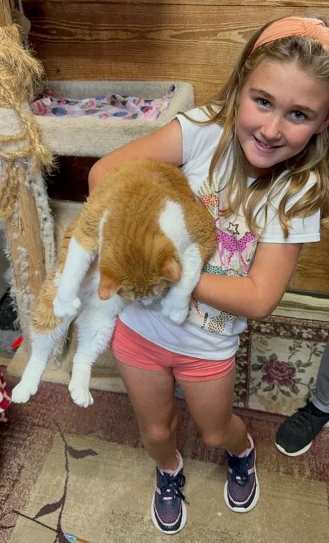 Mila & Marlow Bonded thumbnail 3