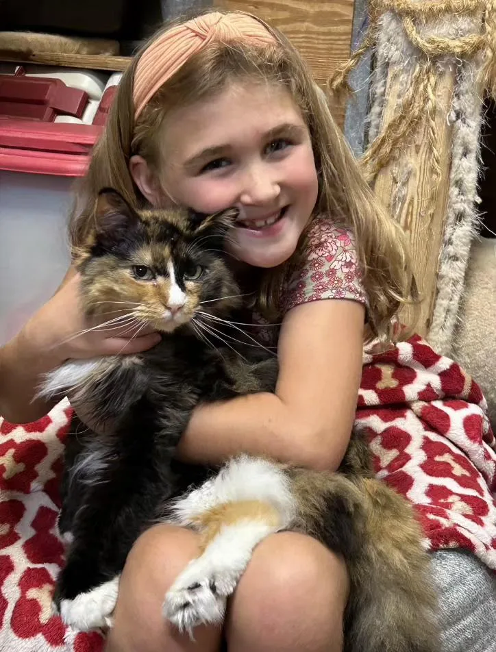 Mila & Marlow Bonded thumbnail 4