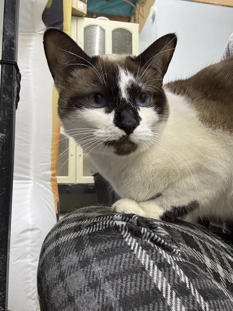 Cora Fka Olivia thumbnail 4