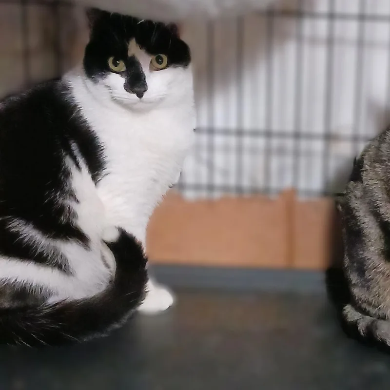 Ziggy And Zephyr B. thumbnail 5