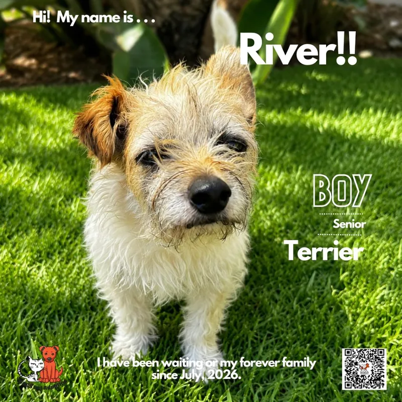 River thumbnail 3