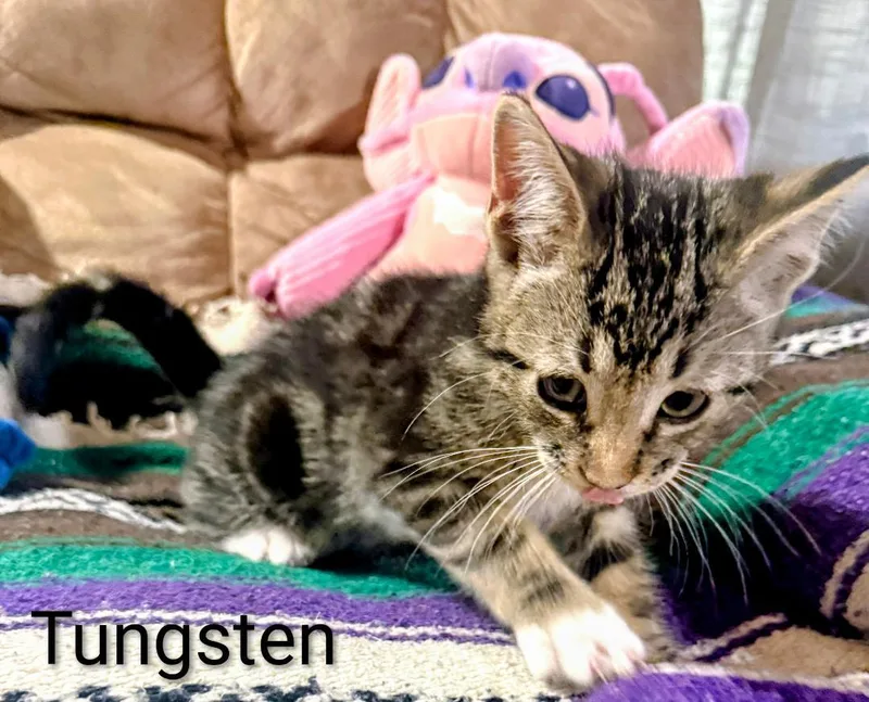 Tungsten