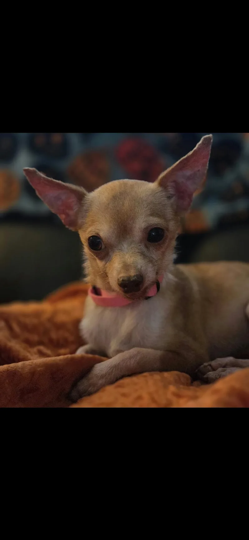 Minnie thumbnail 2