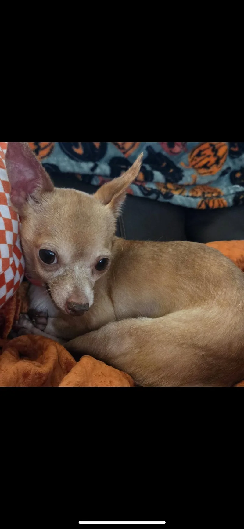 Minnie thumbnail 3